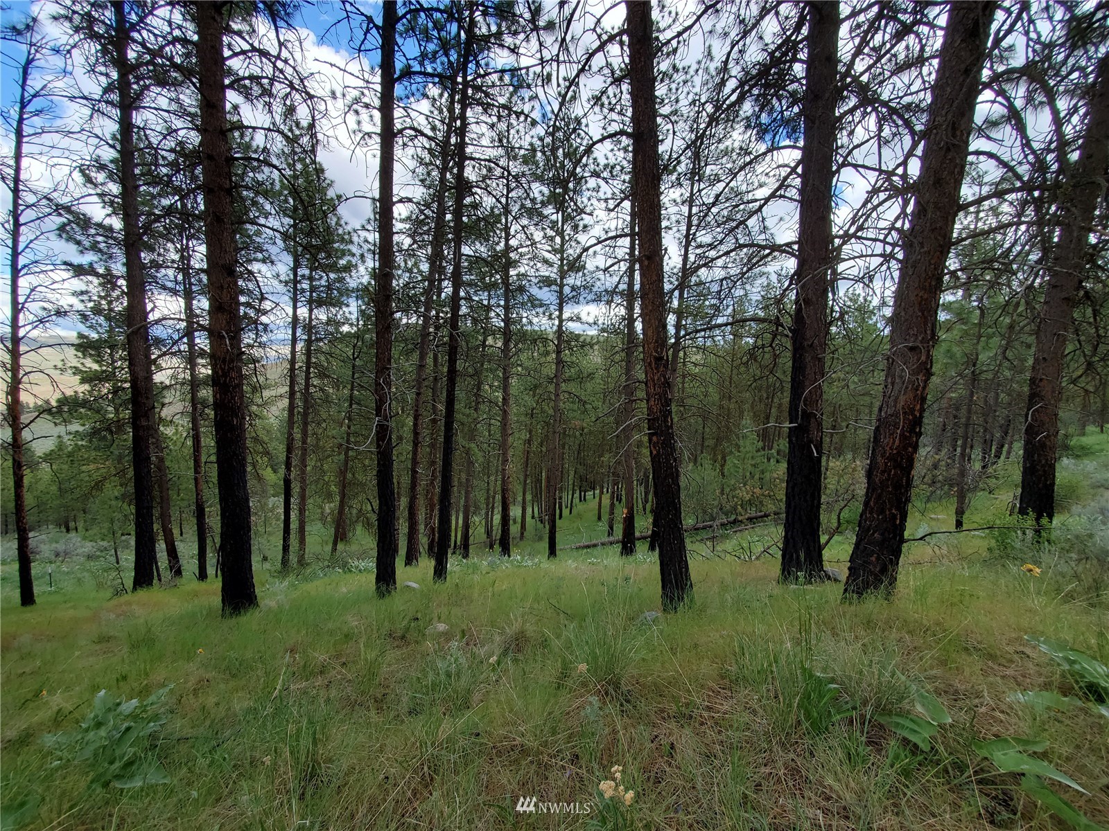0 570X Tunk Creek Road