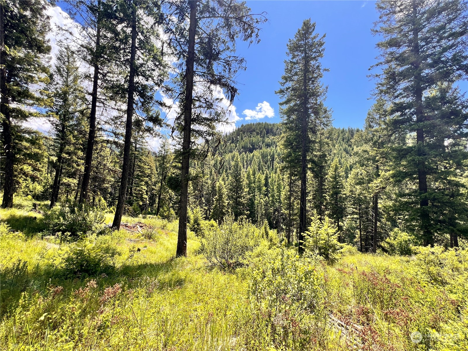 0 TBD Old Kettle Falls Road