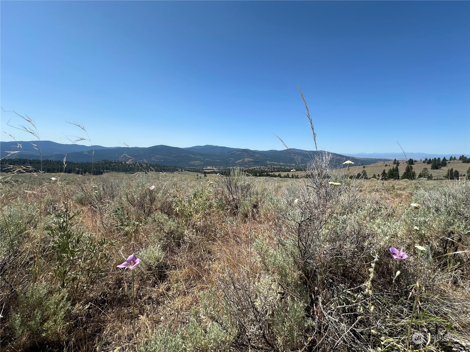 25 Harvest Moon Lane