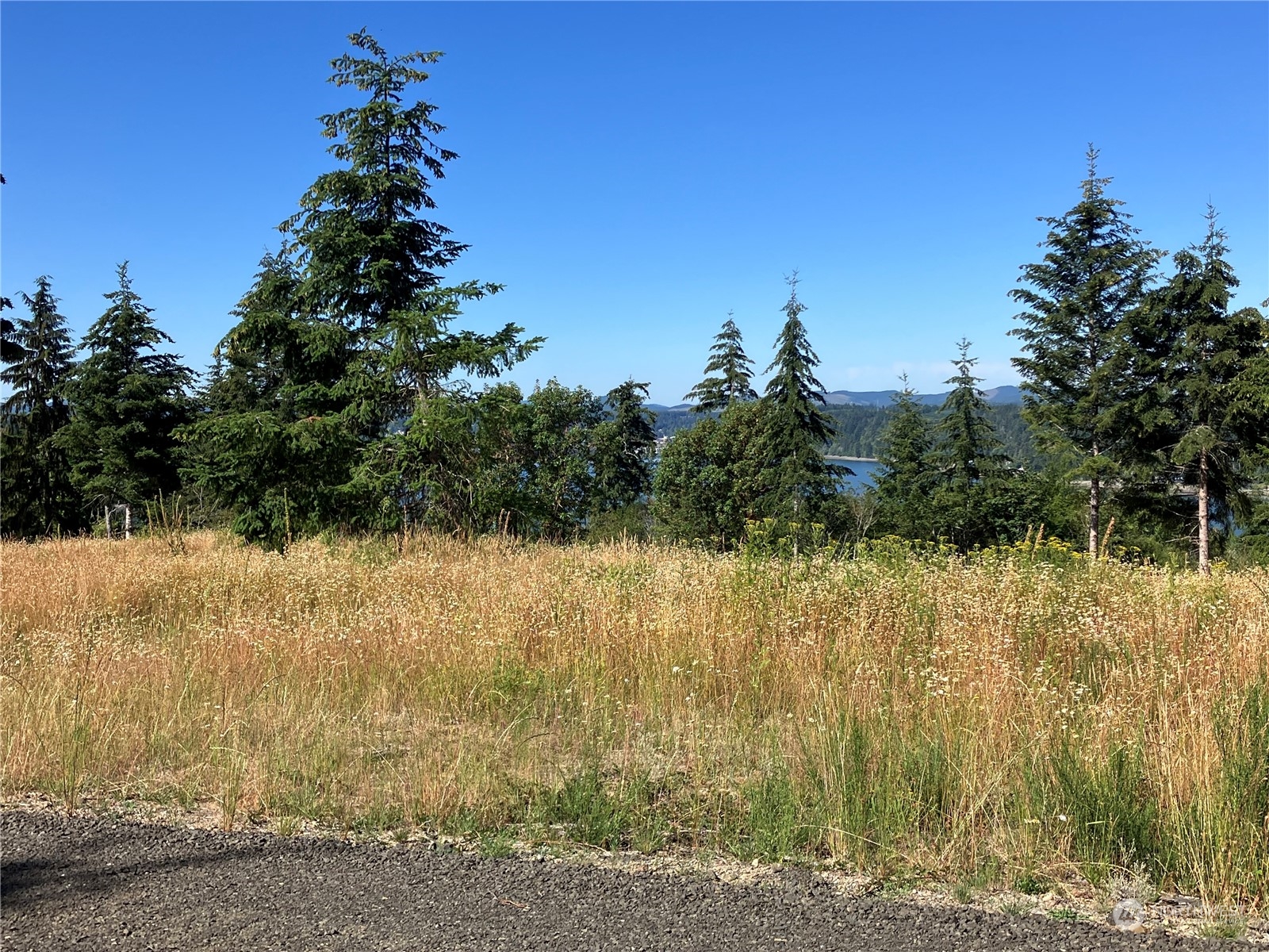 1 E Lone Fir Drive Drive E #Div 2
