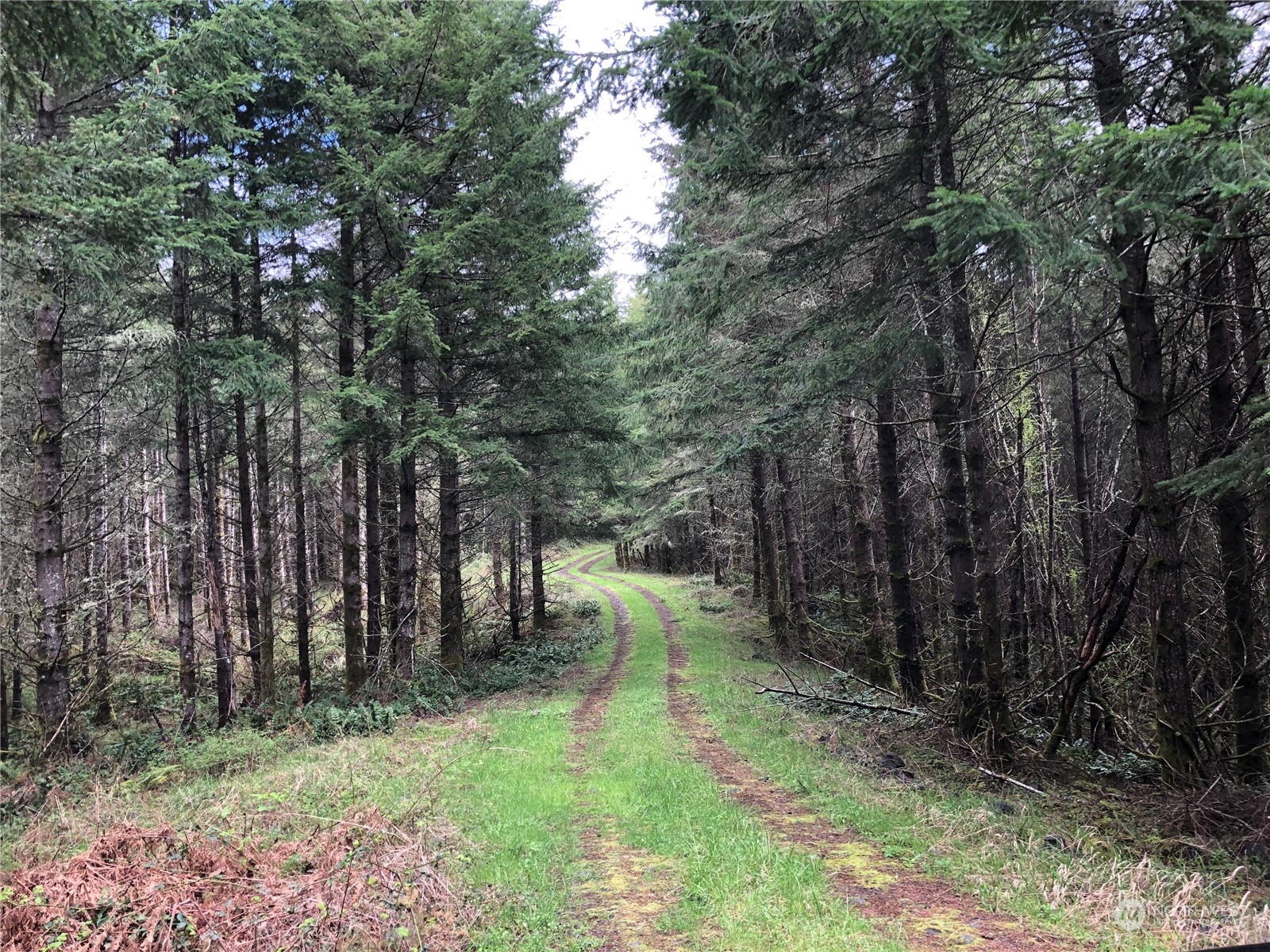 217 XX Thompson Creek Road
