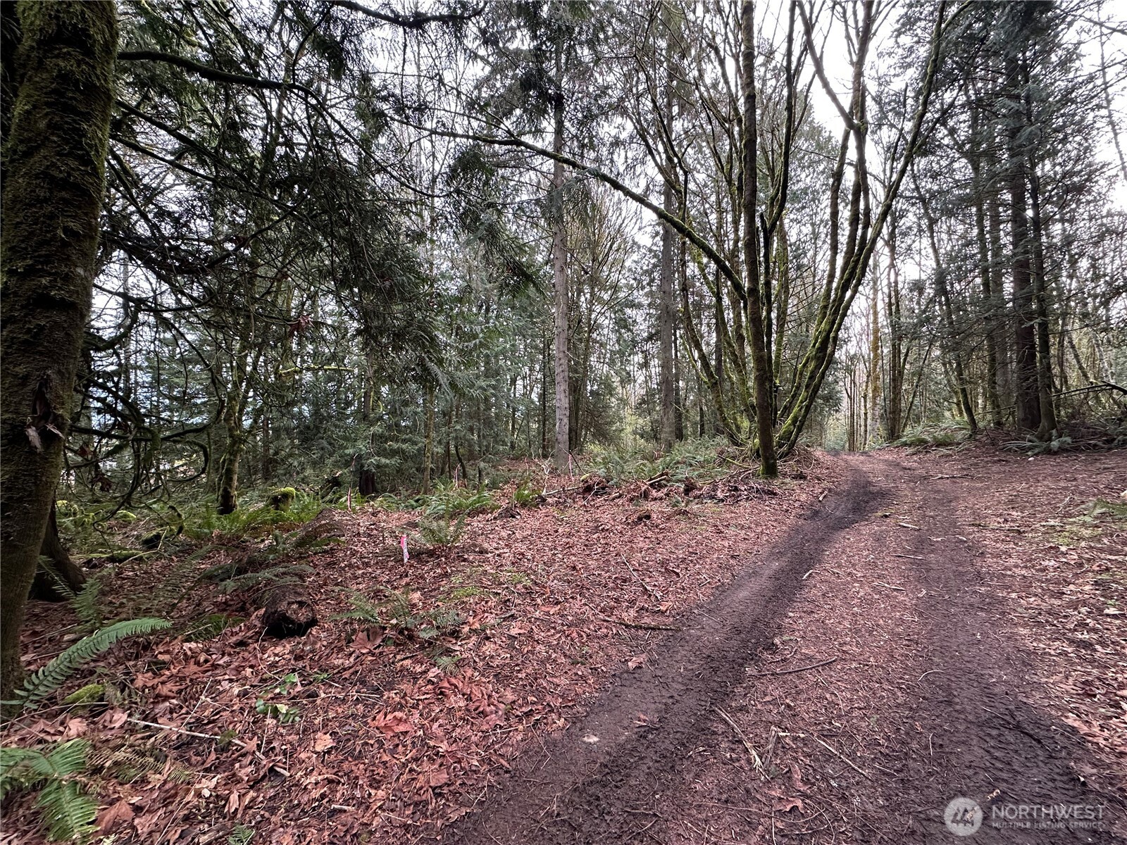 22 Lots Nevada Avenue E