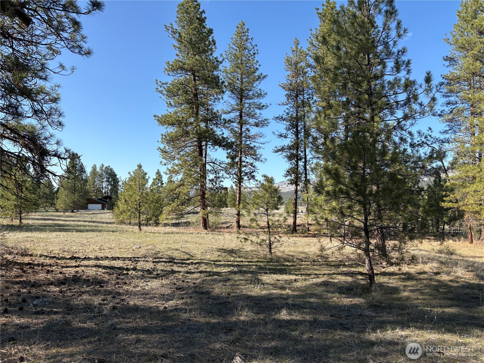 0 Tamarack Road