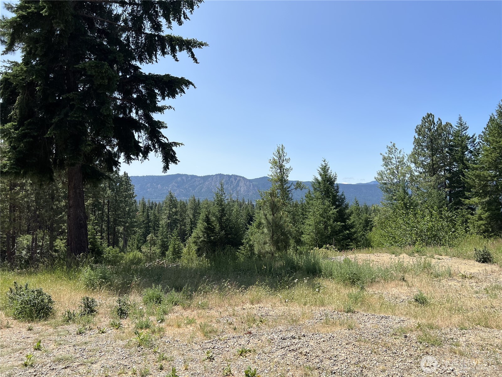 1571 Summit View Road