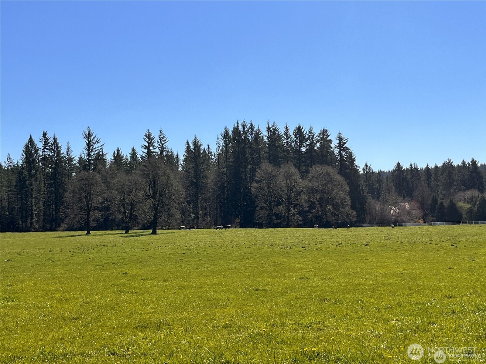 0 xxx NE 212th Avenue