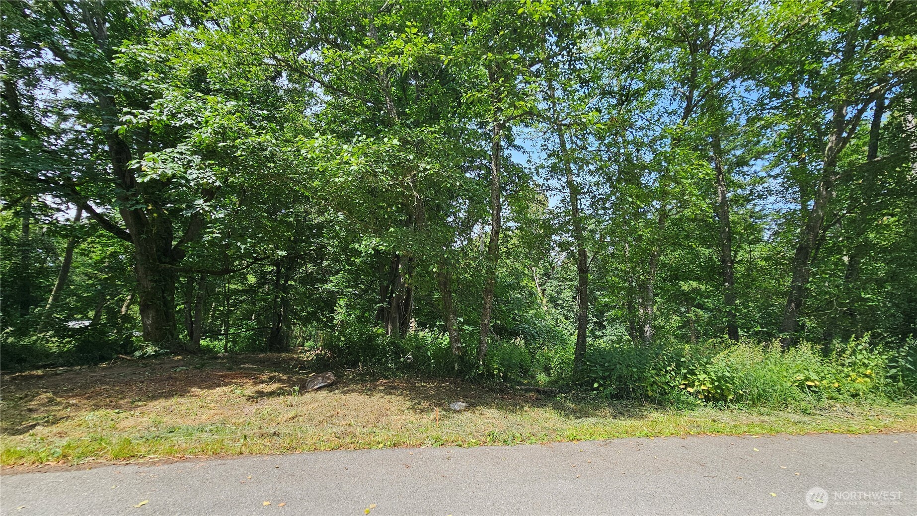 304 Dove Drive