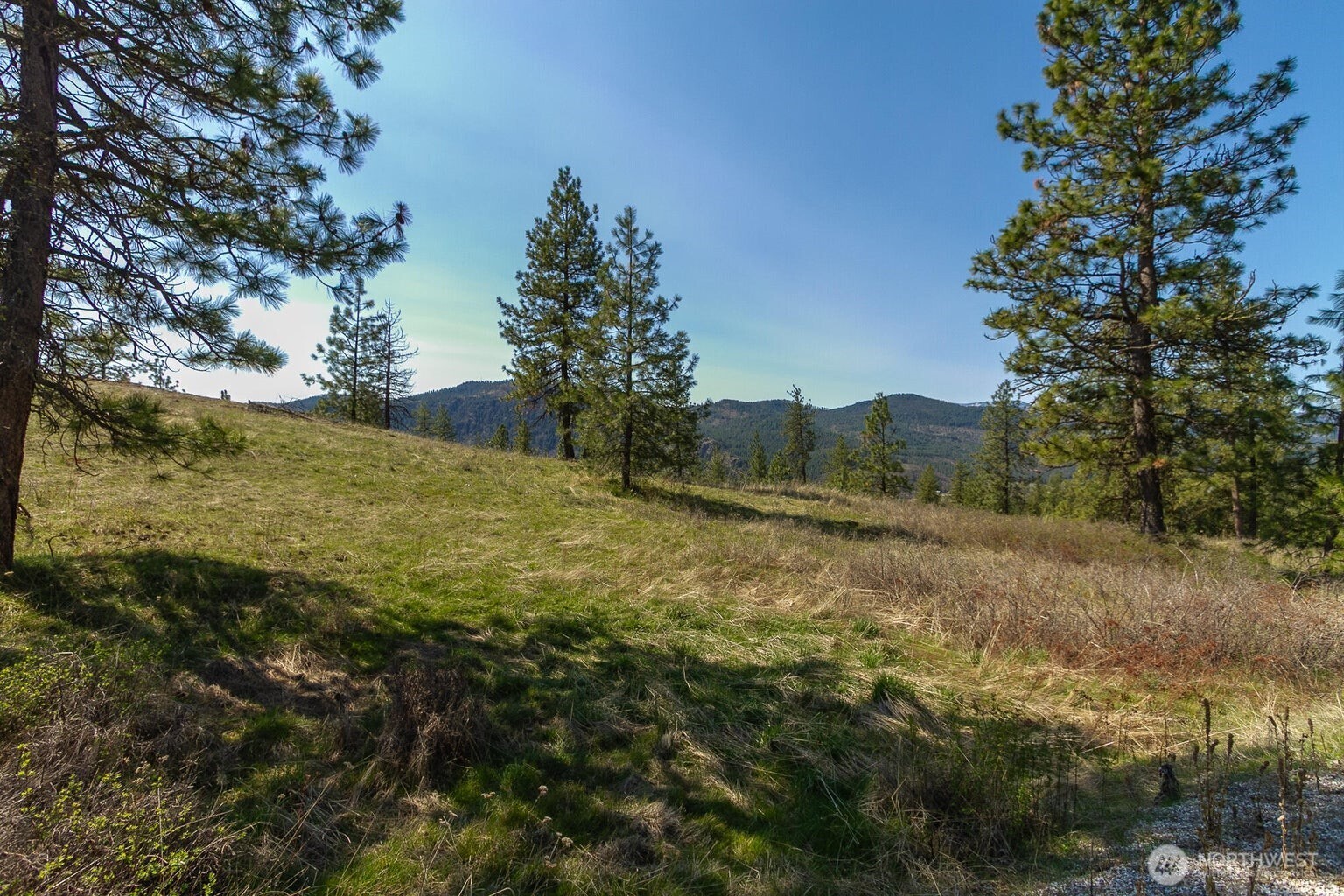 1622 Palmer Loop