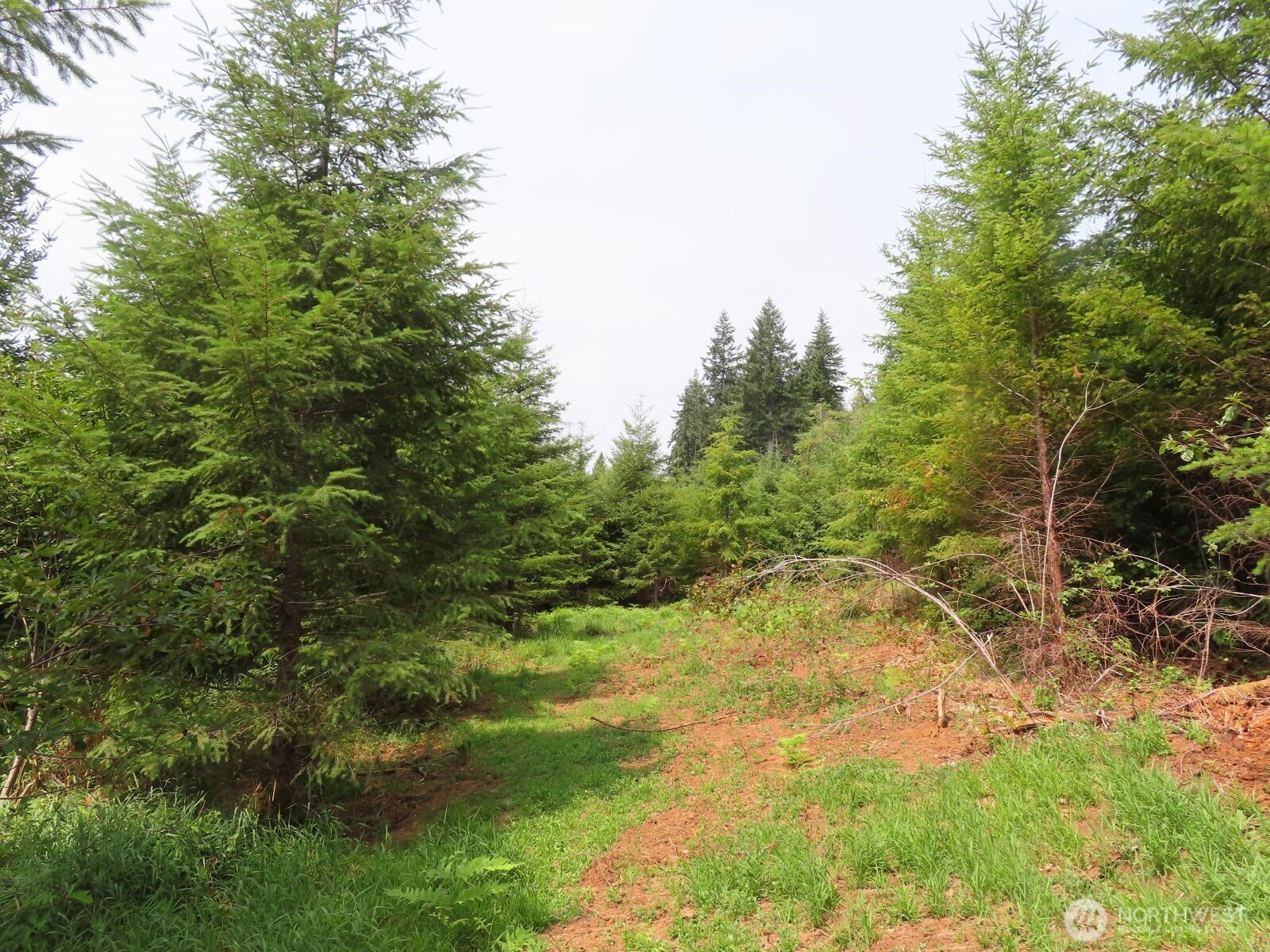 0 Lot H Mill Creek Lane
