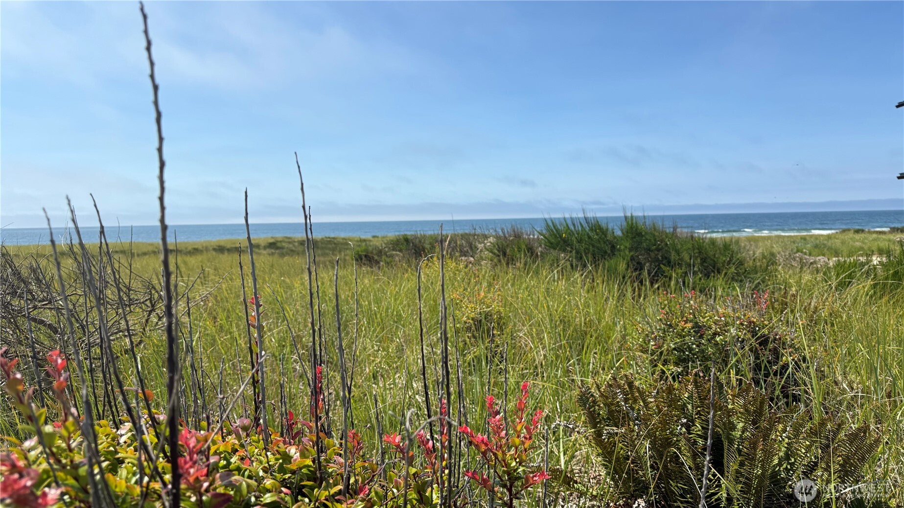 615 Dune Crest Loop