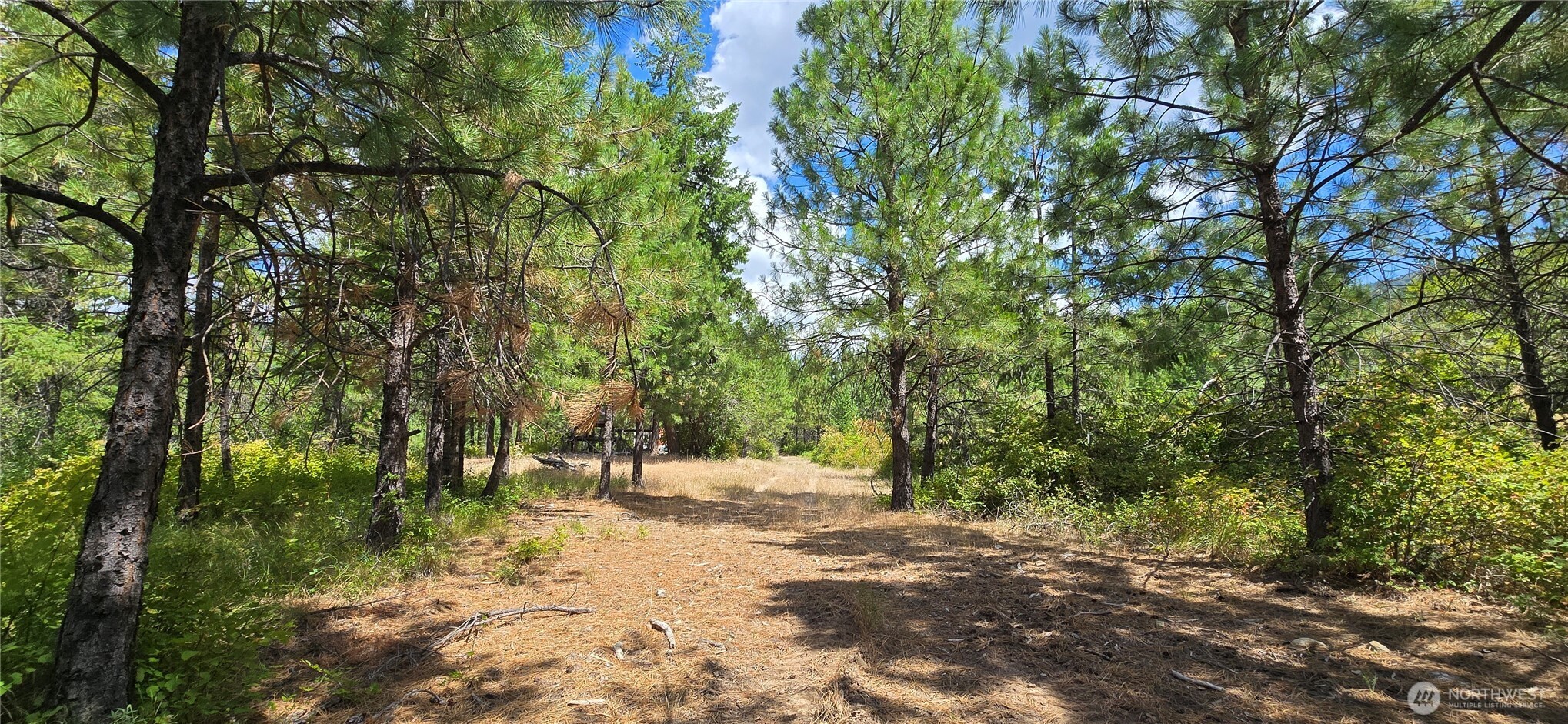 1733 Old CC Road