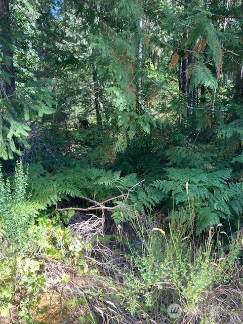 21 N Goldeneye Drive