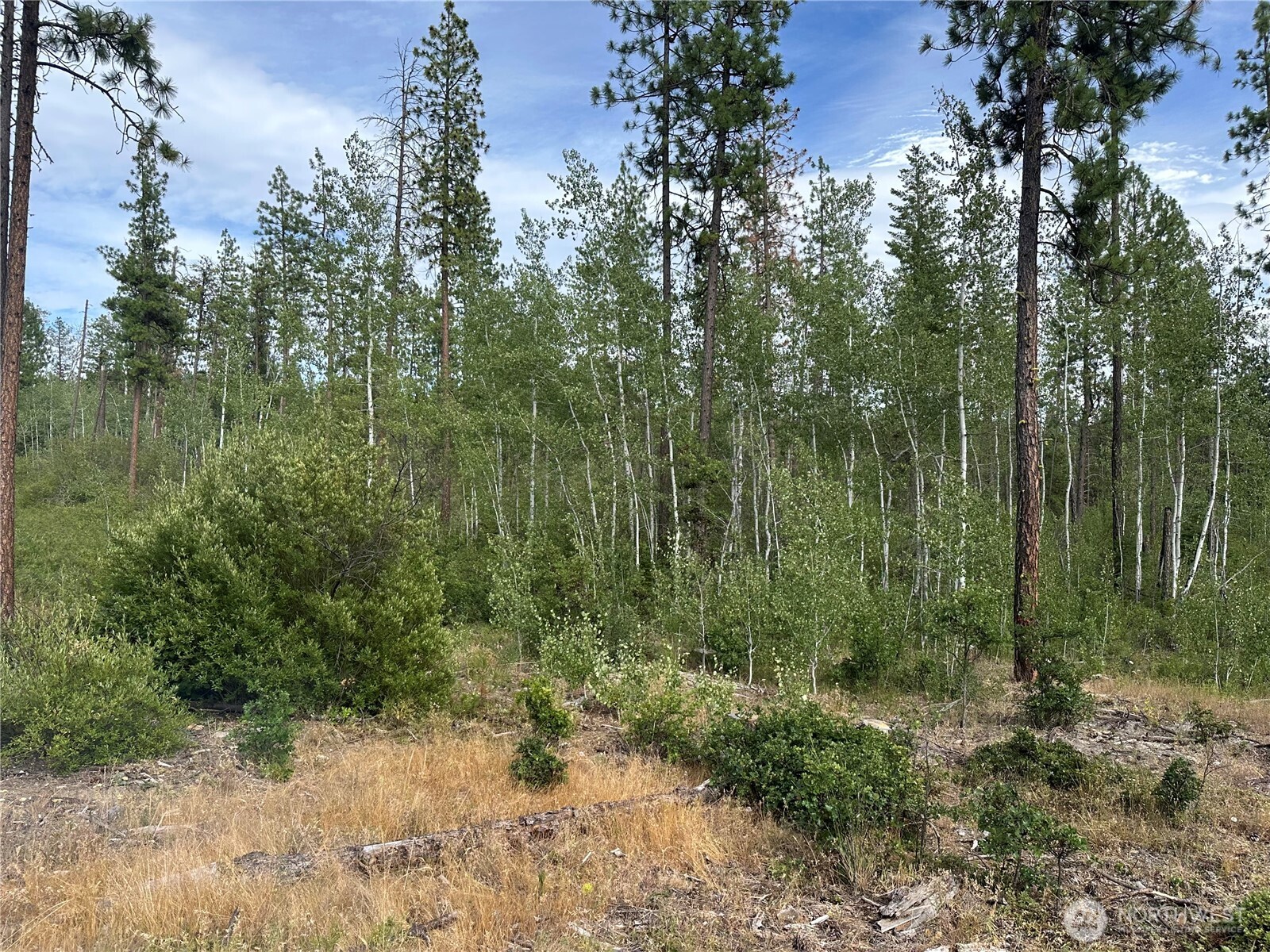 5 Greyback Mt Road