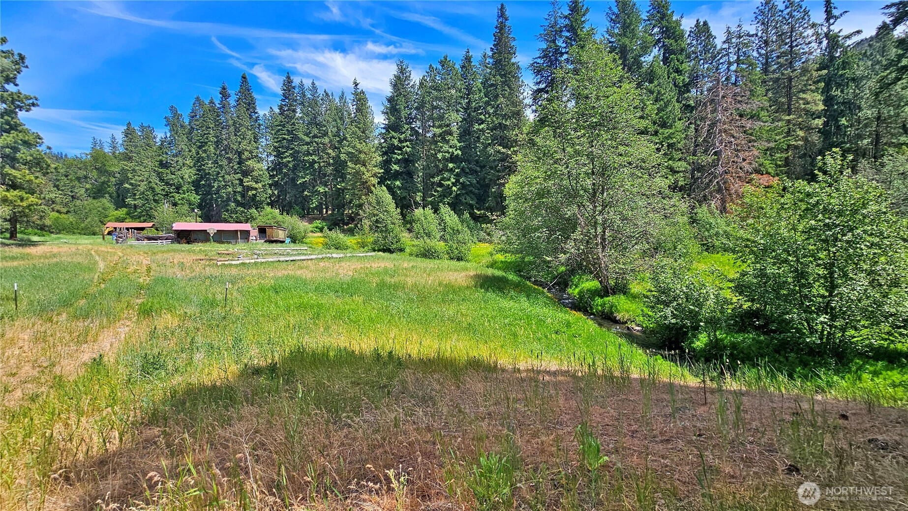 81 Williams Creek