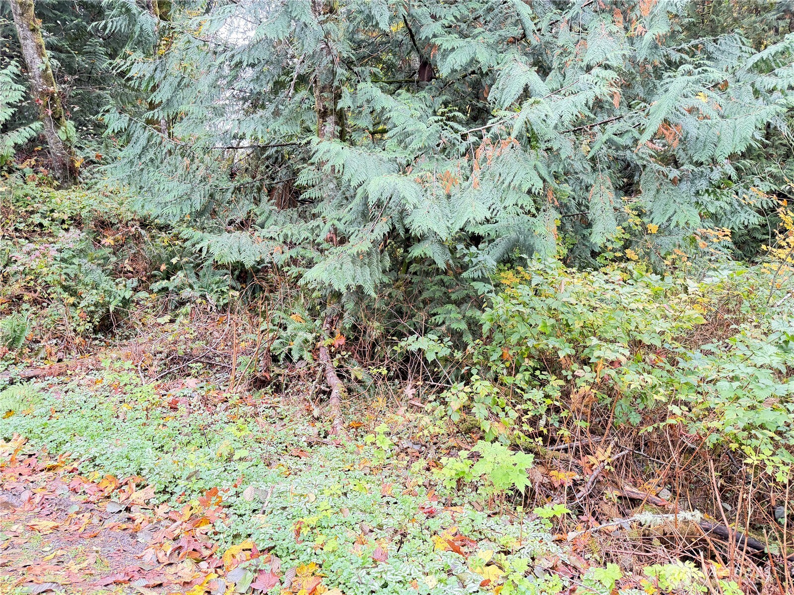 1 W Alder Drive