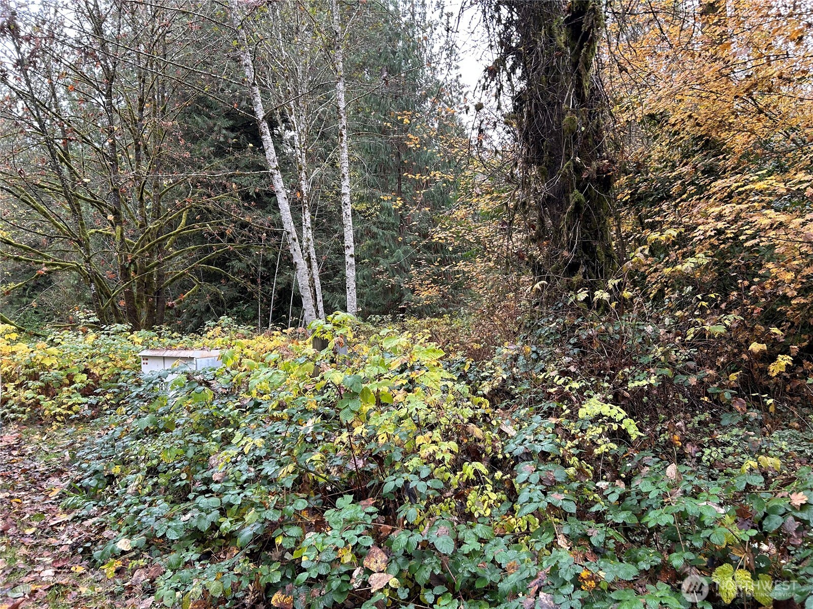 54165 Steelhead Landing Road