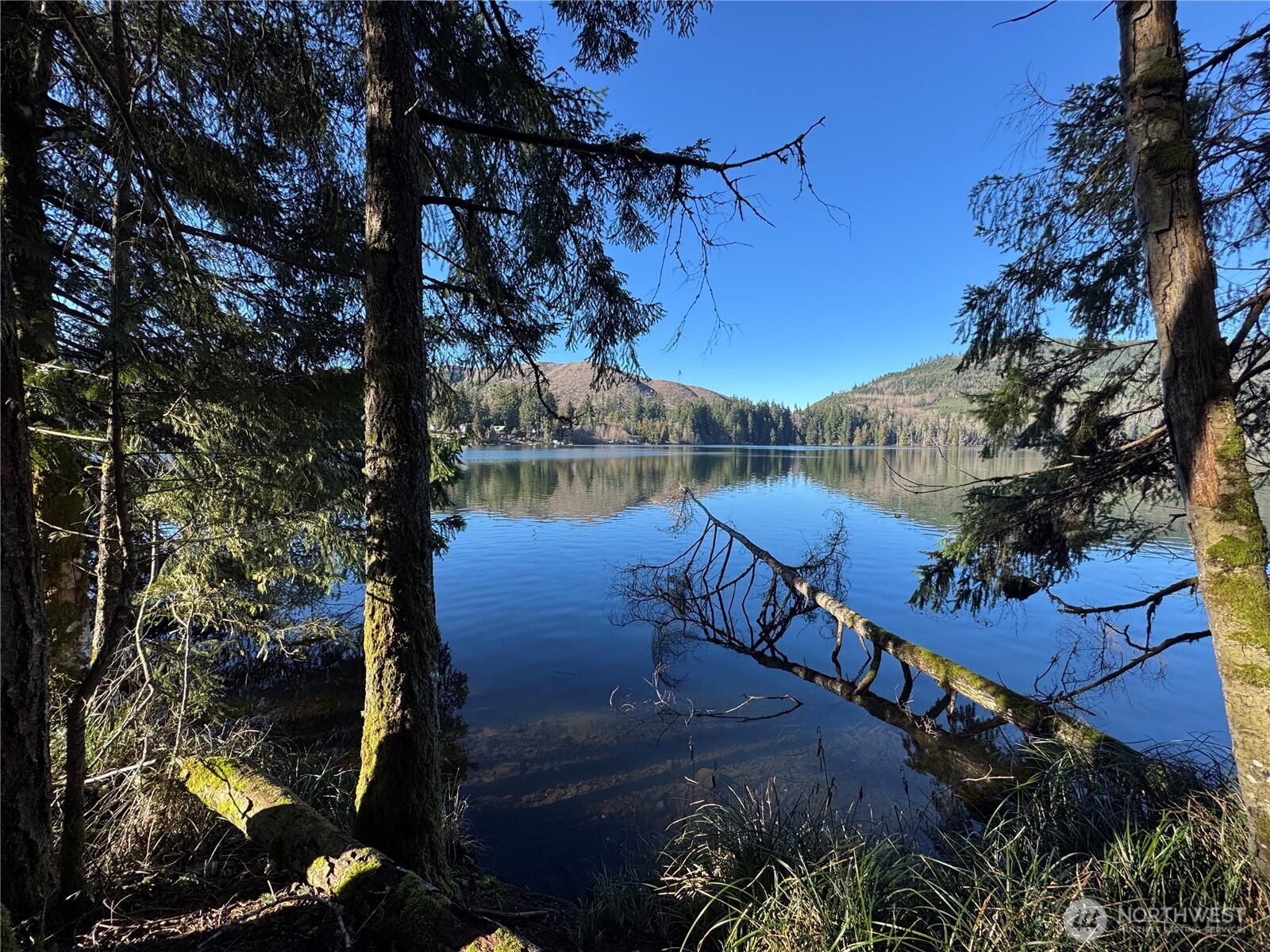 0 Mineral Creek Road N