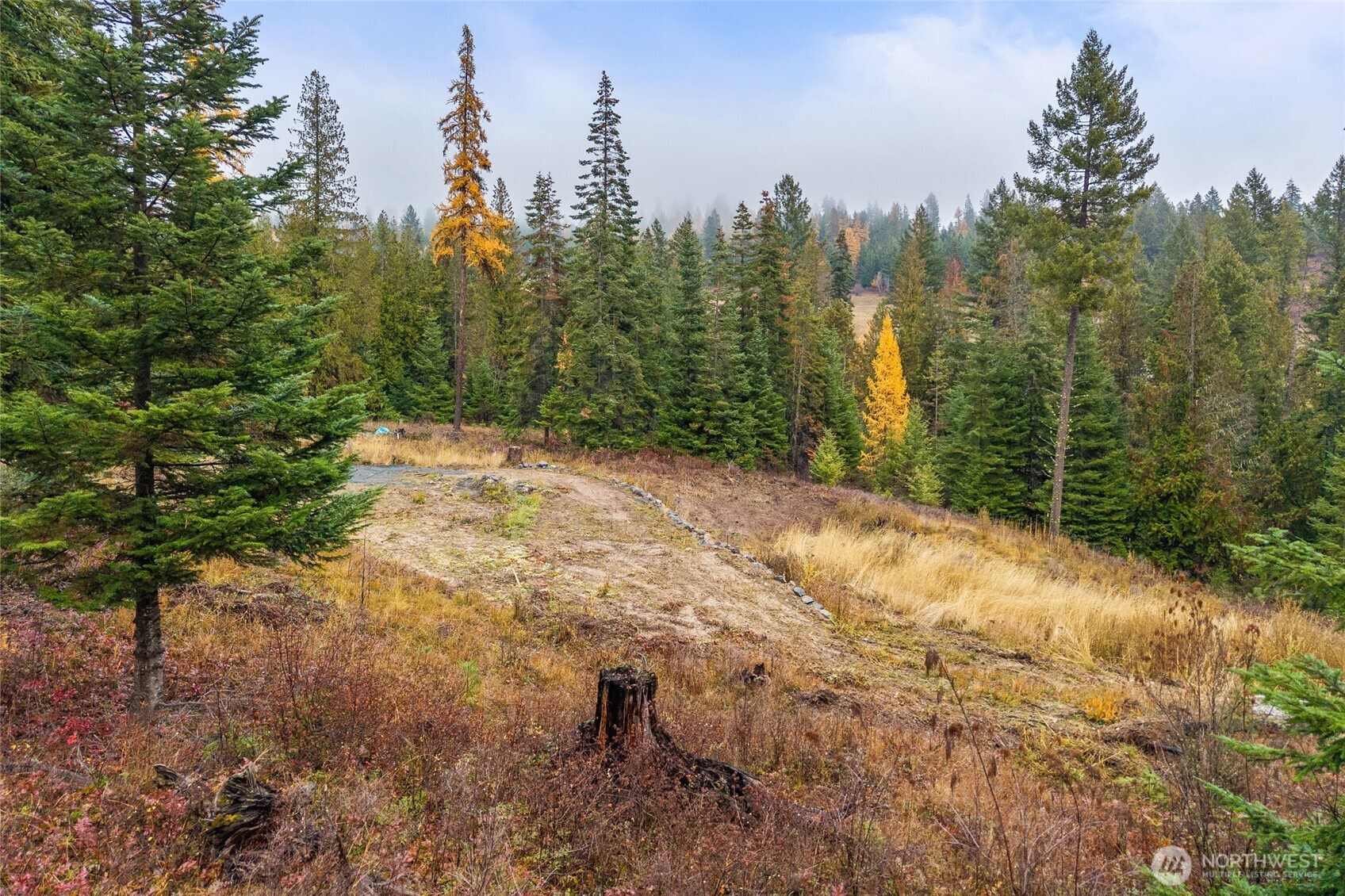 717 B Finley Gulch Road