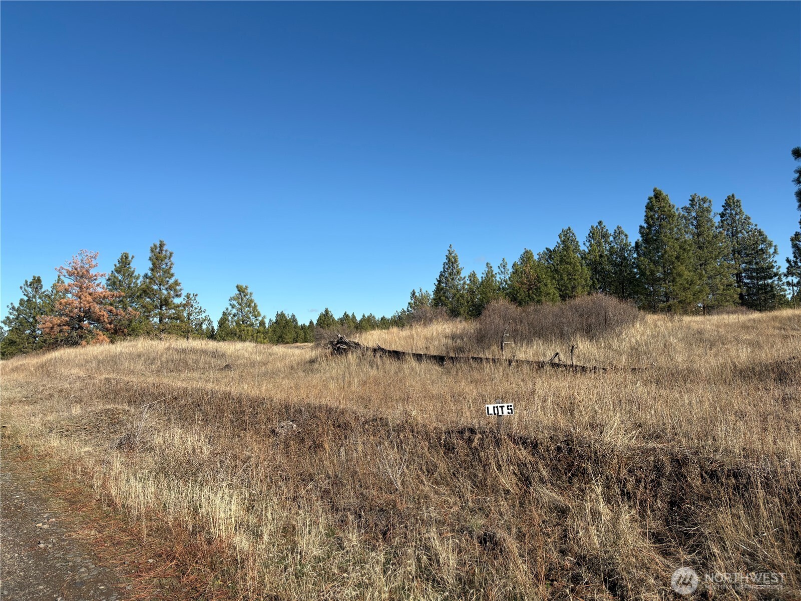 35390 Prairie Lane N #Lot 5