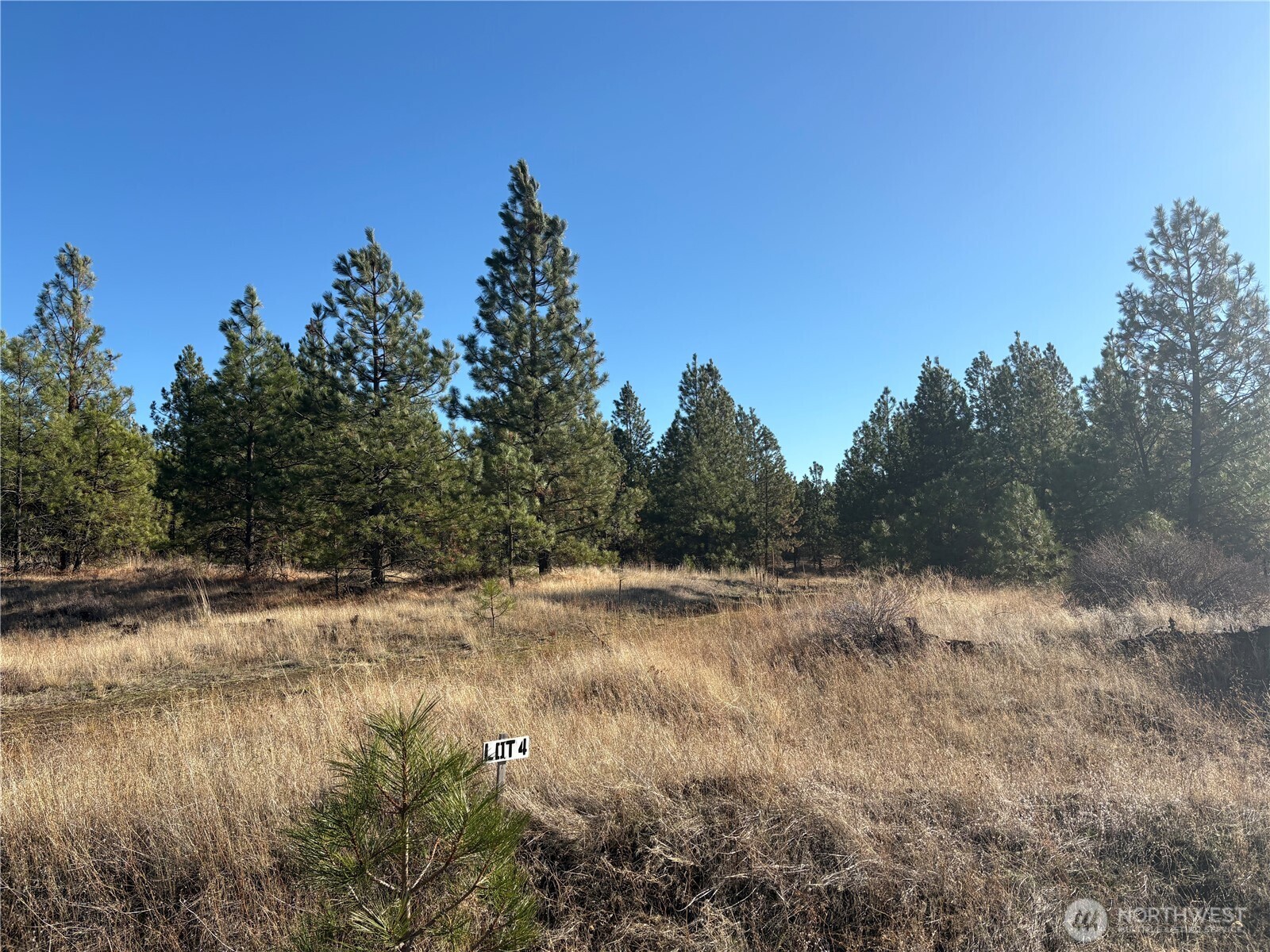 35410 Prairie Lane N #Lot 4