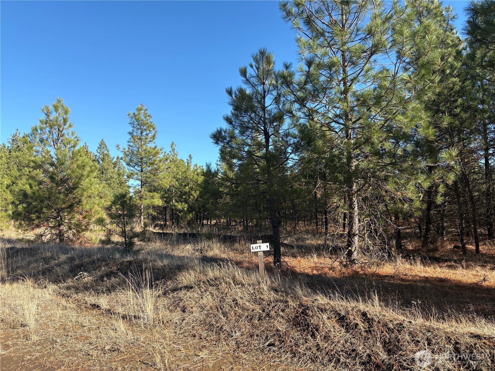 35470 Prairie Lane N #Lot 1