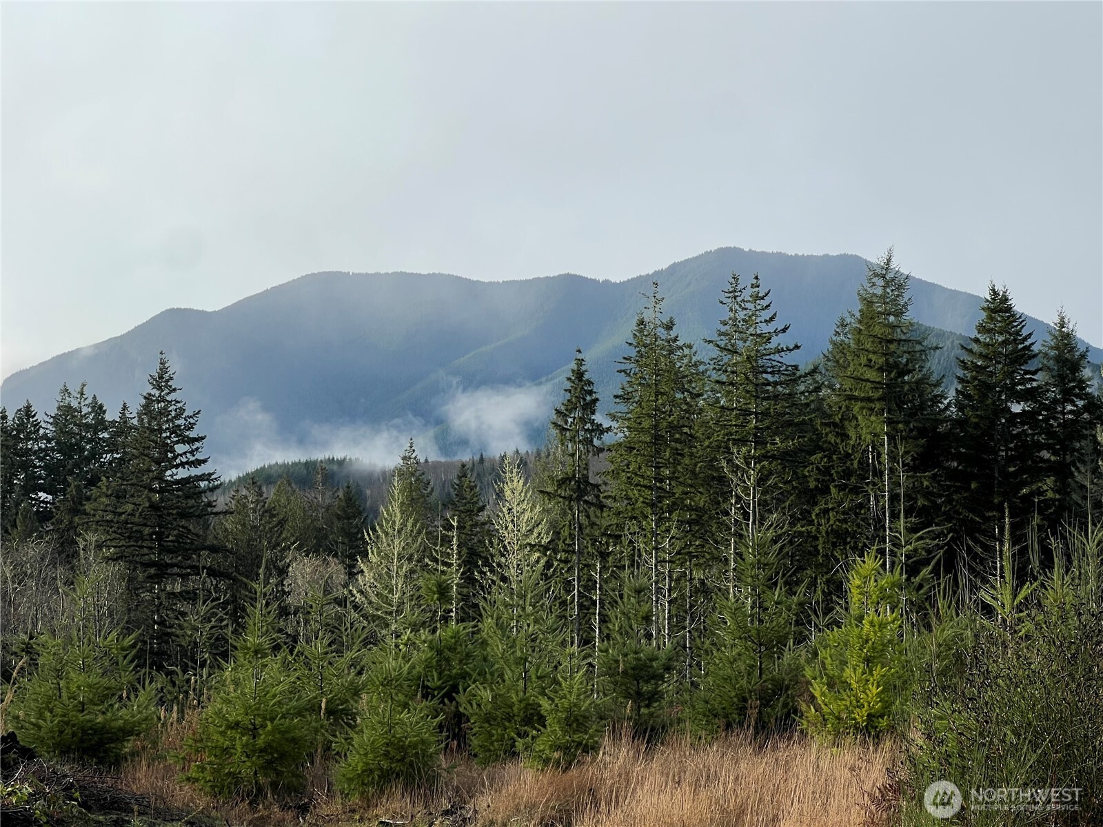 3 xxx Snow Creek Road