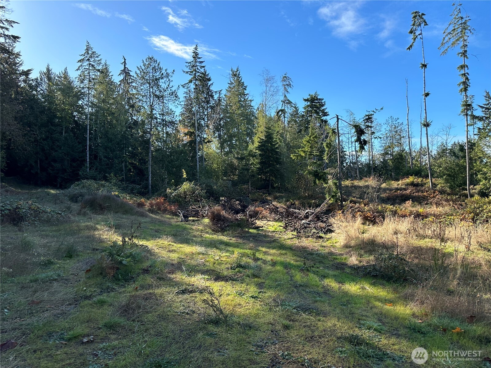 4 Lots Lilypad Place E