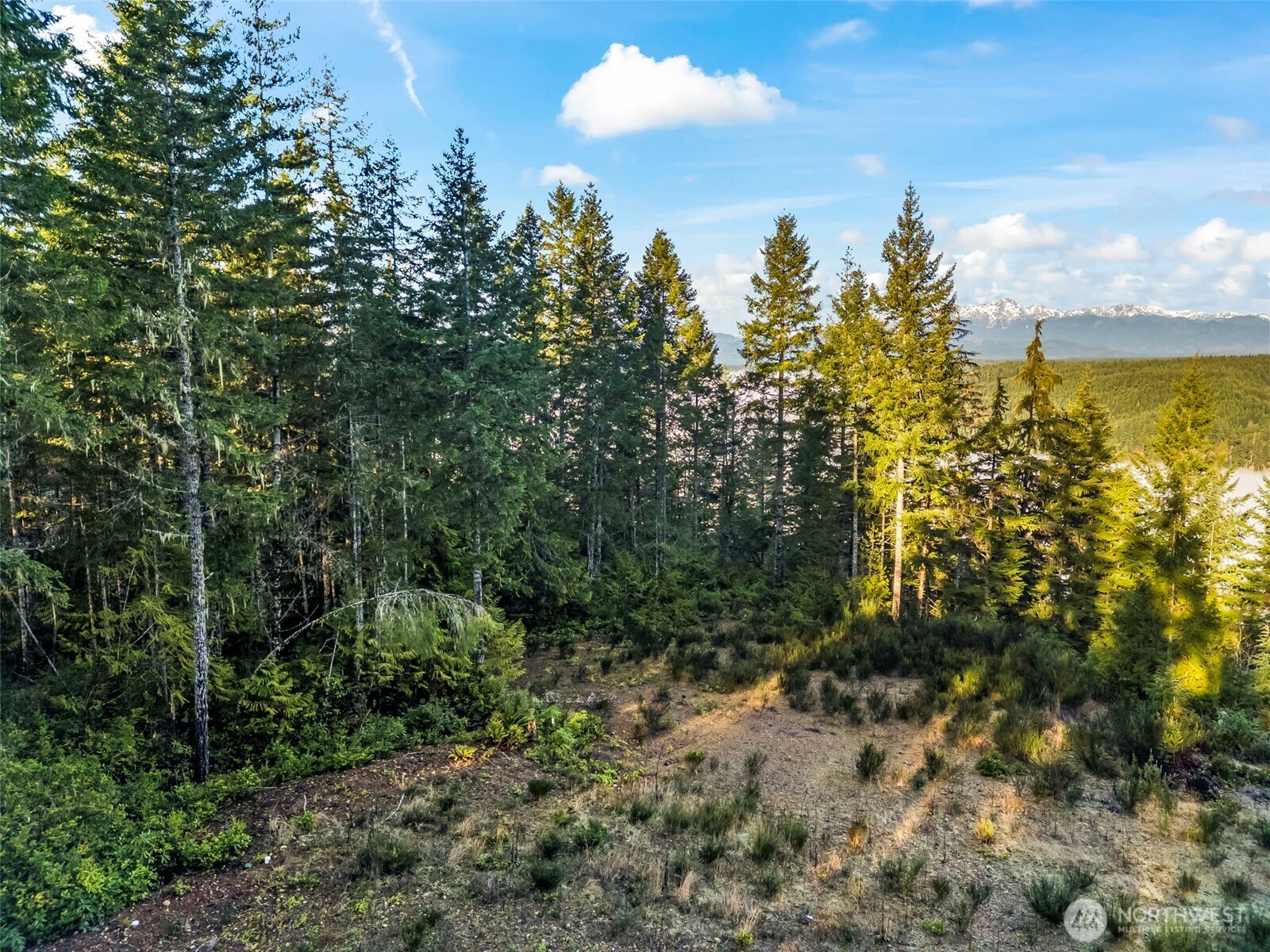 1123 E Timber Tides Drive