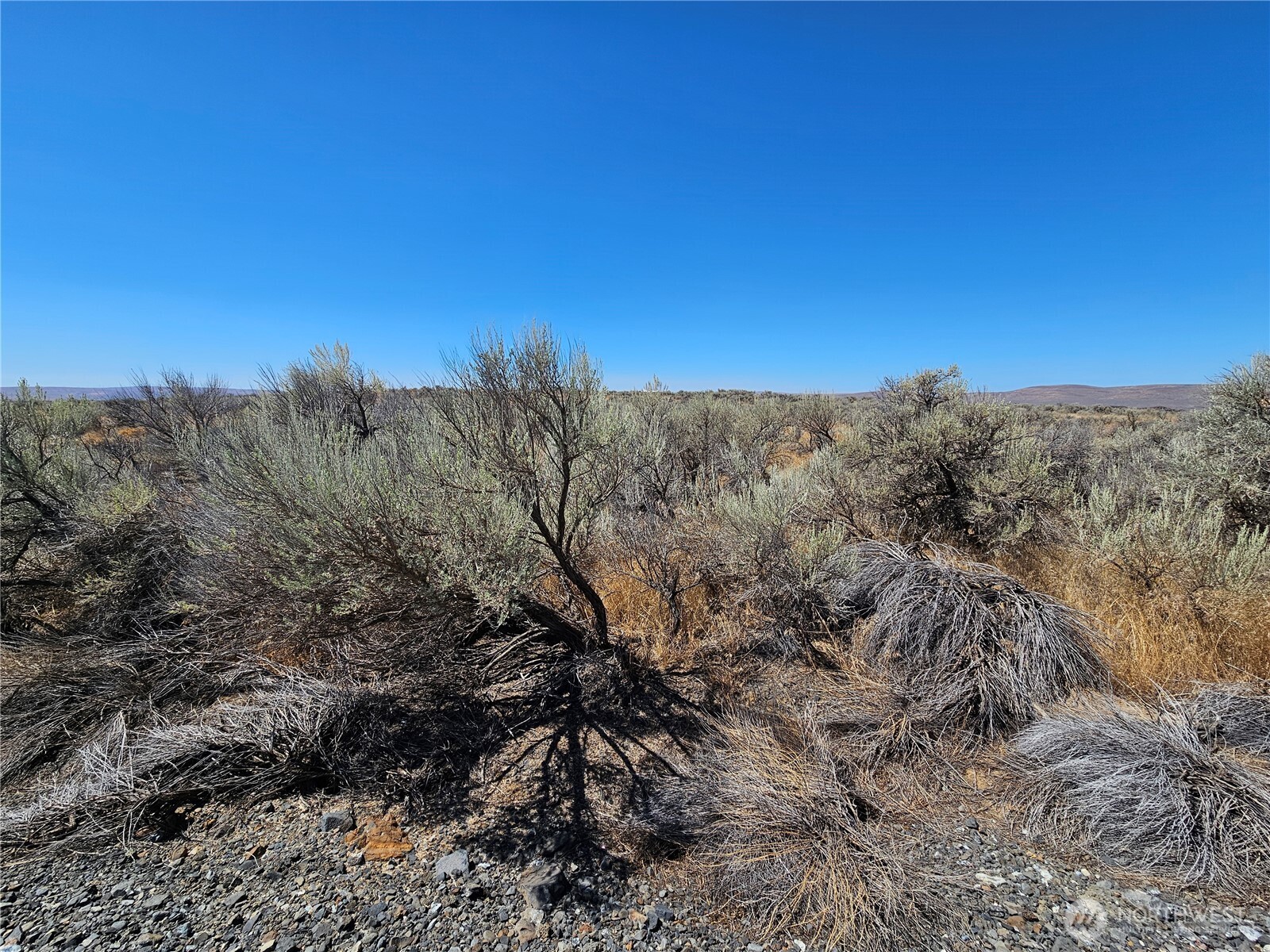 1 W Coyote Trail