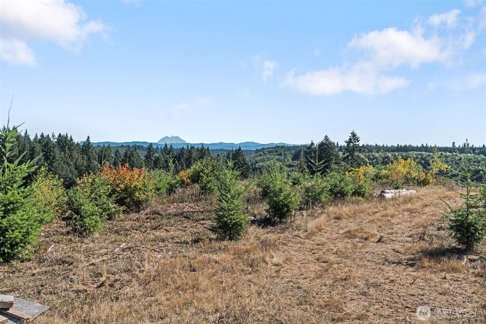 0 Lot 2 Macomber Road W