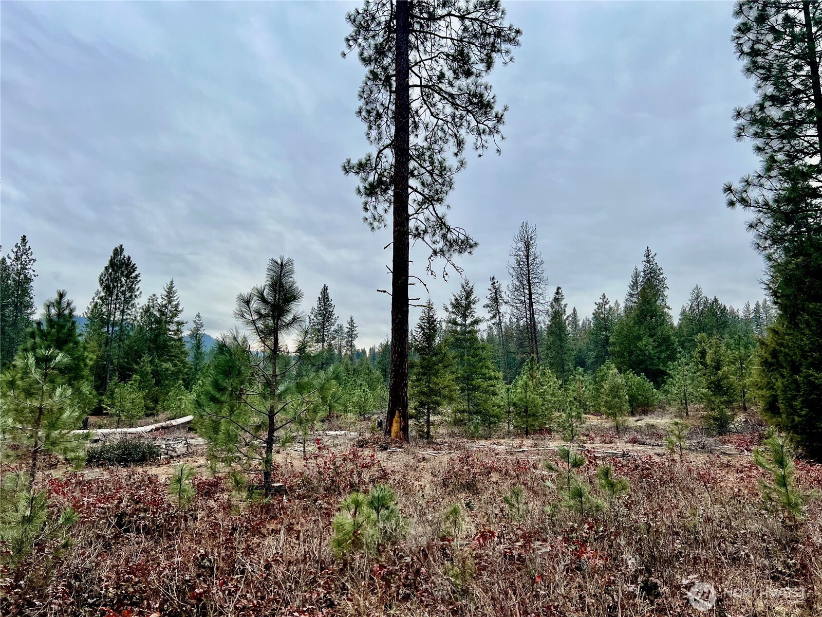 0 40TBD Hwy 25 N