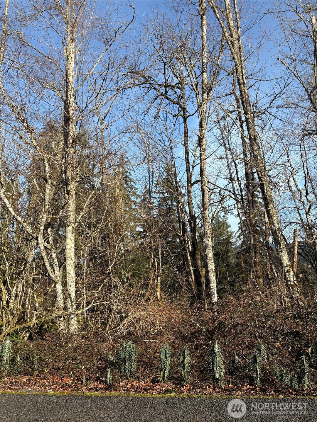 128 Valley View Drive
