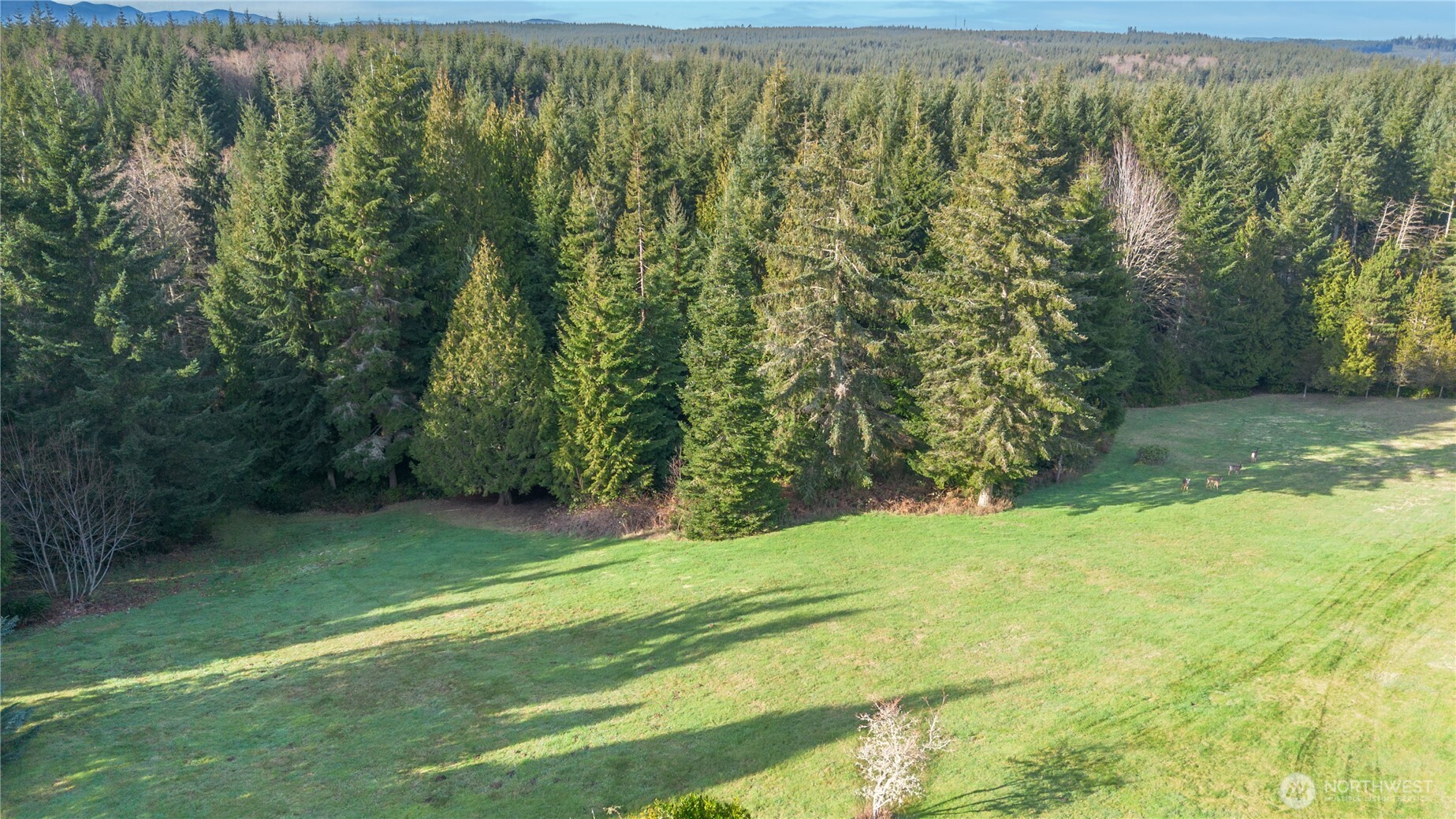 0 Olympic Ridge Drive