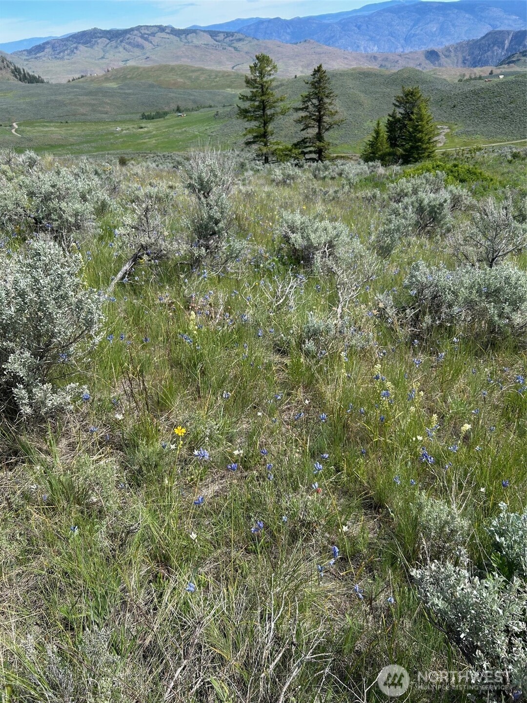 3 TBD Ellemeham Mountain Road