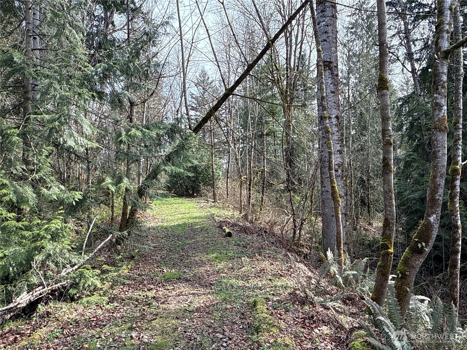 22 XXX 212th Avenue SE