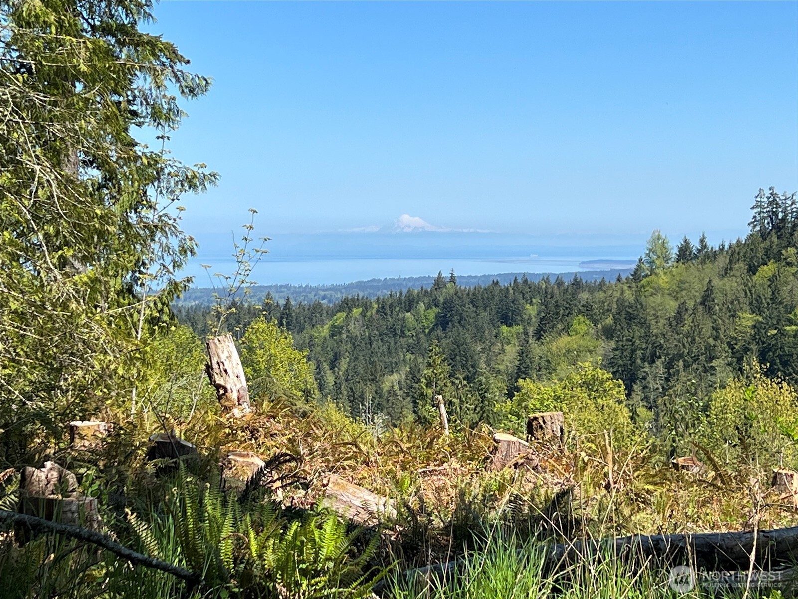 9999 E Half Mile Rd.