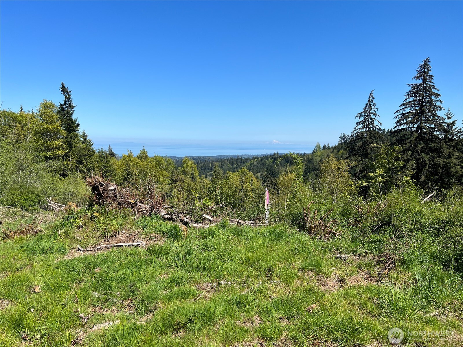 9999 E Half Mile Rd.
