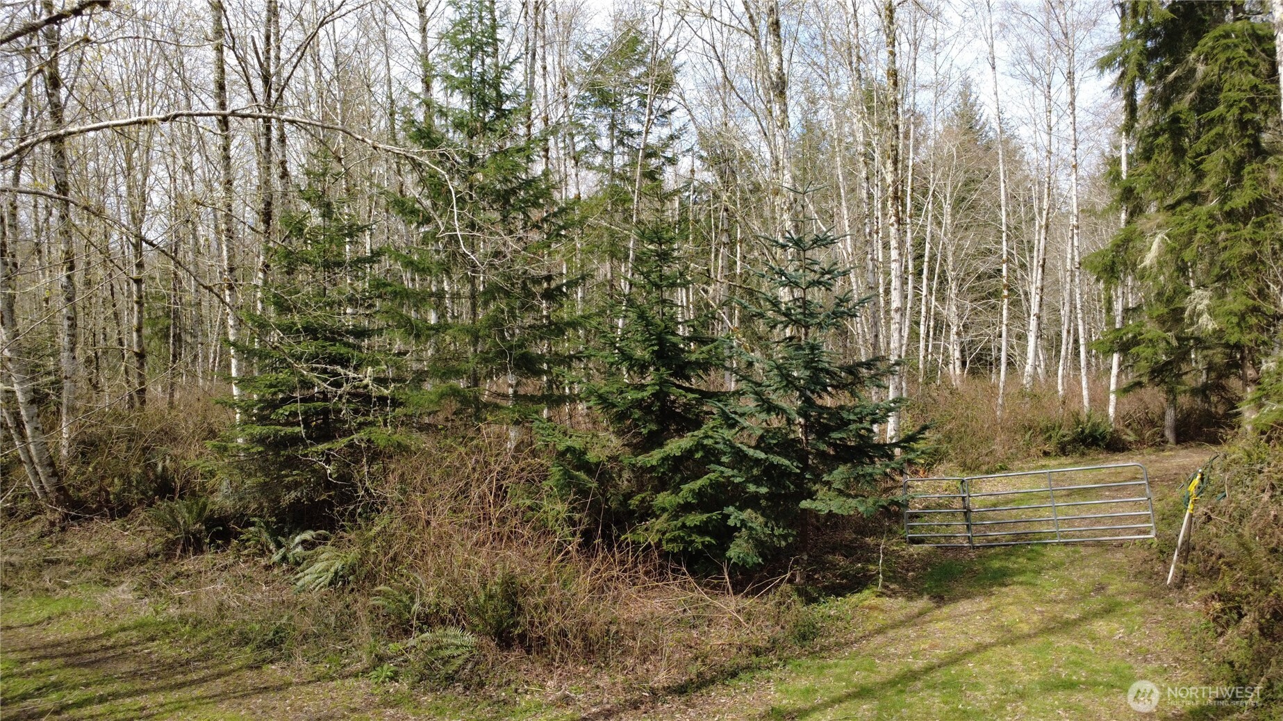 1 XXXX Blacktail Court