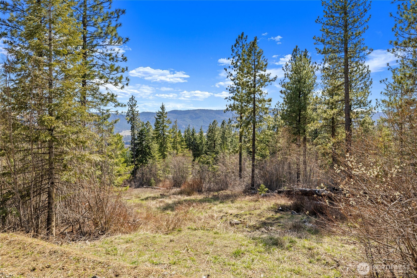 6 Forest Ridge (Lot 6) Drive