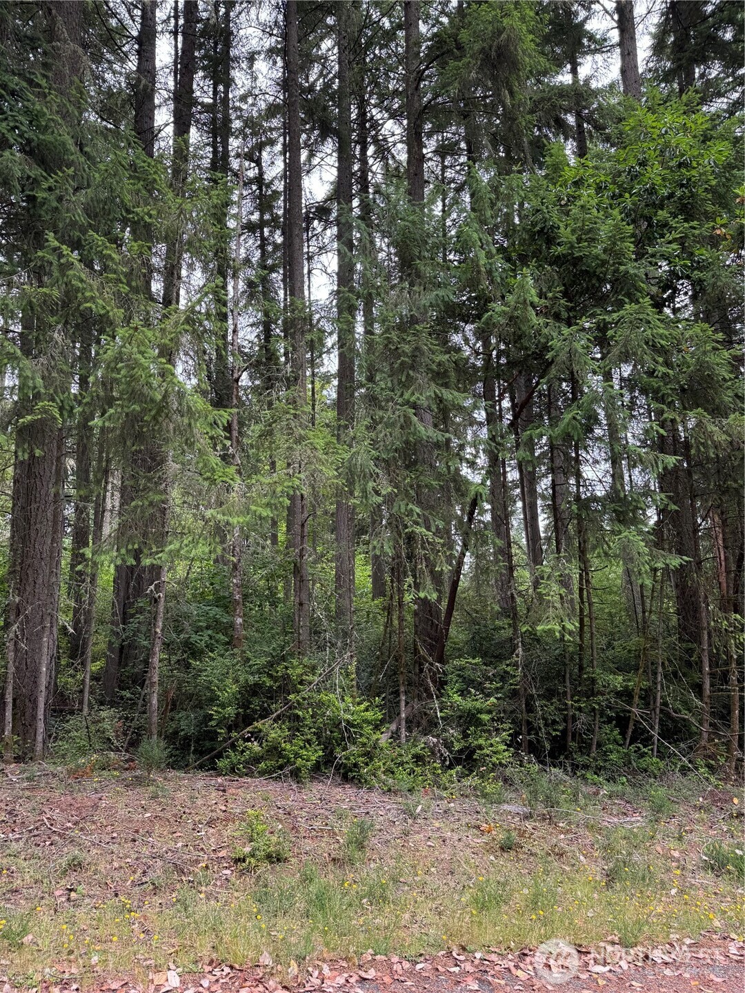 12216 Wapato Road