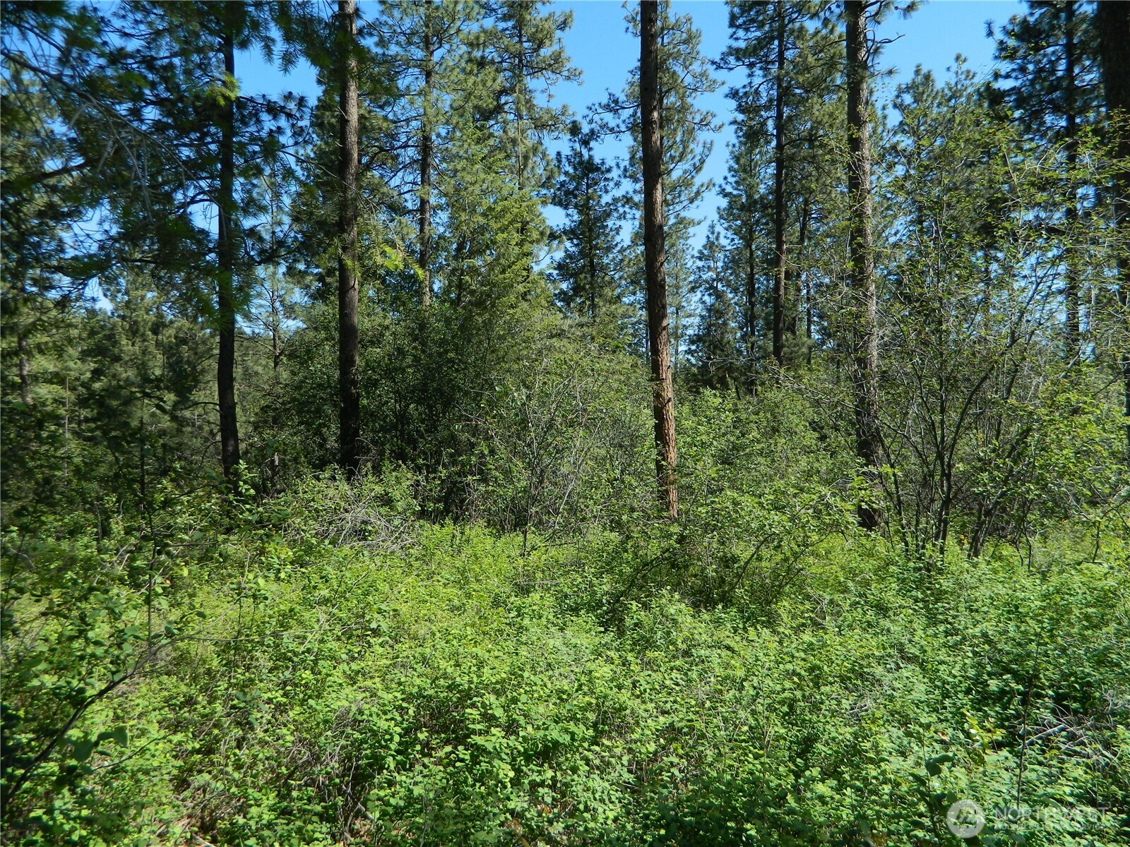 111 TBD Murphy Ranch Road