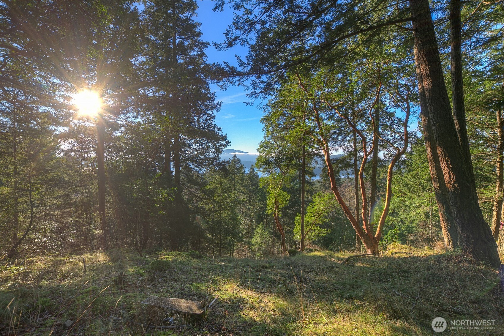 558 Buck Mt. Road