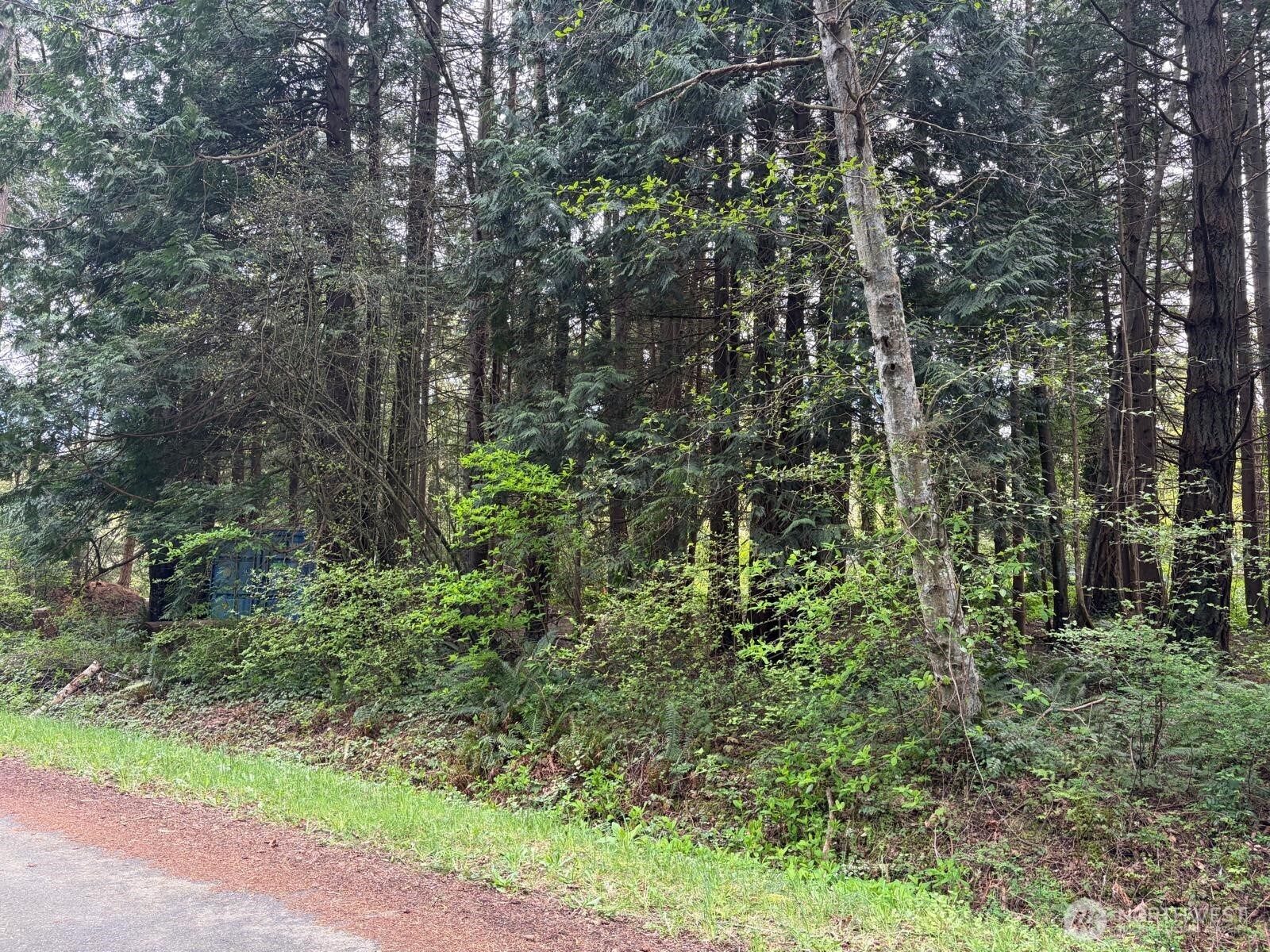 318 Madrona Place