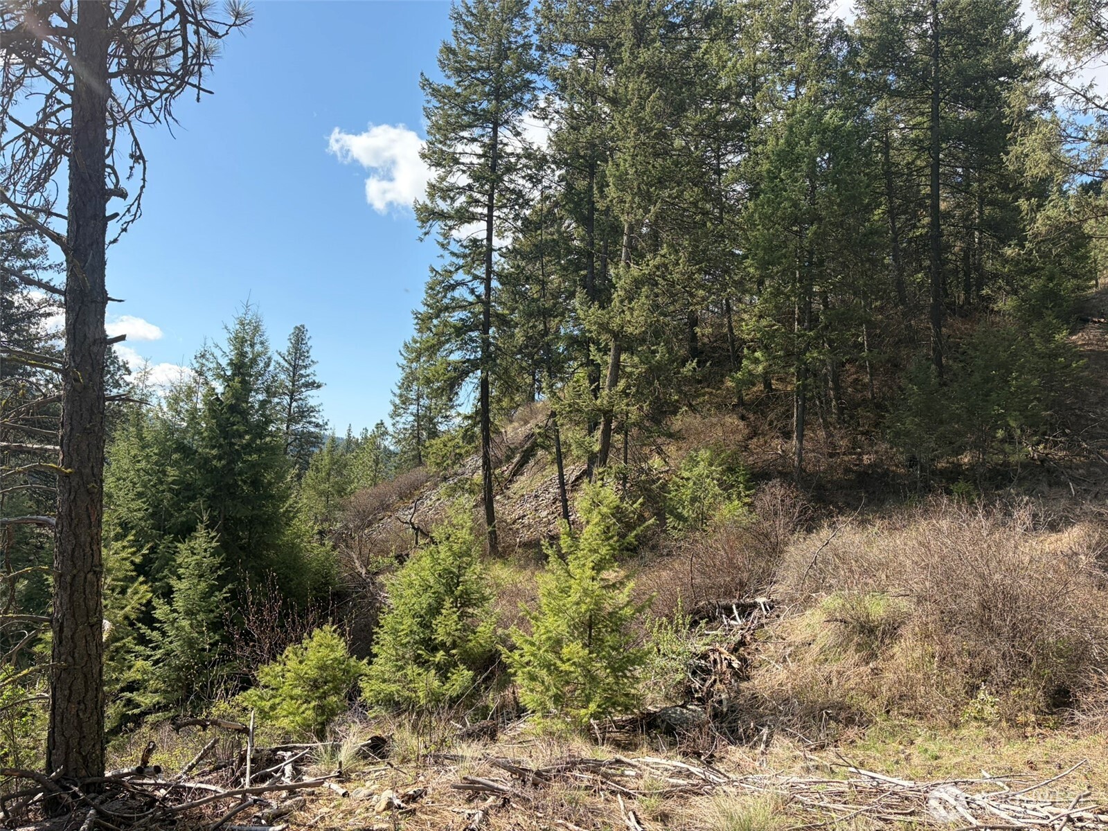 111 TBD West Curlew Lake Road