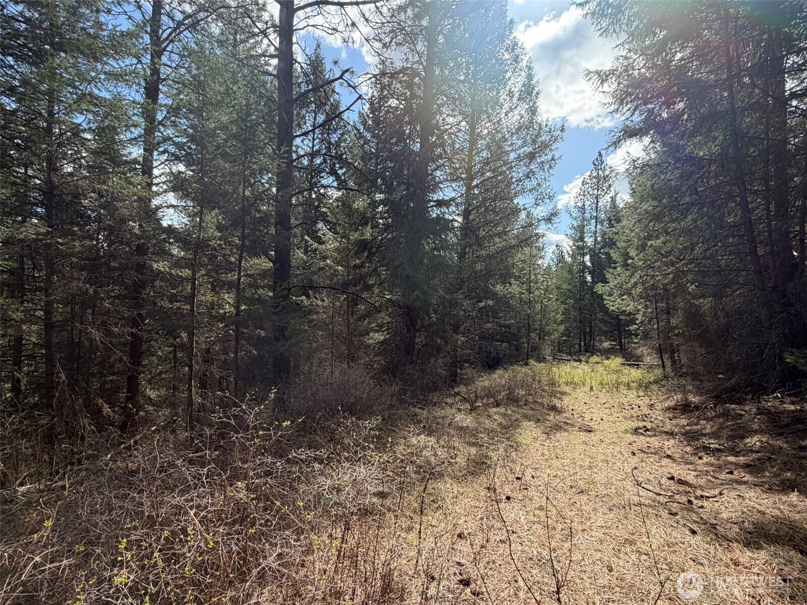 111 TBD W West Curlew Lake Road