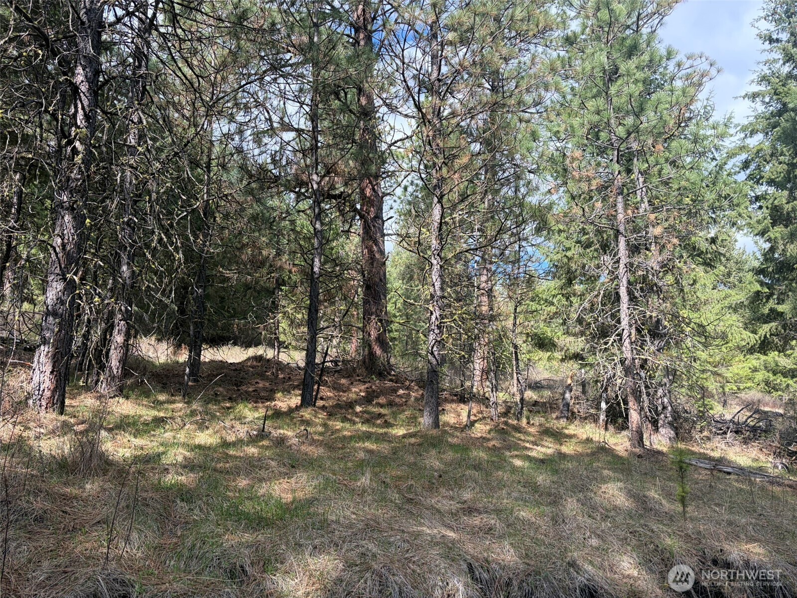111 TBD E West Curlew Lake Road