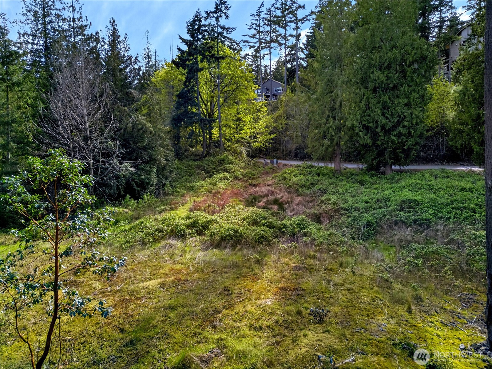 11927 Madrona Ridge Place