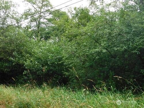 2406 Willows RD