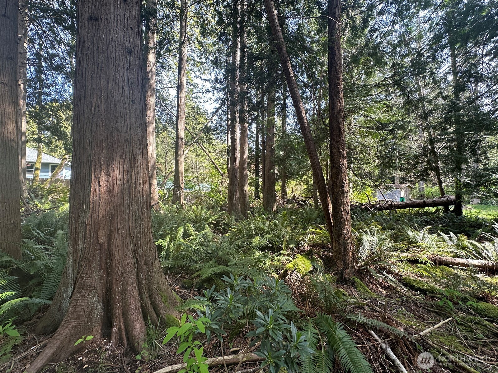 0 Lot 9 Tyee Drive