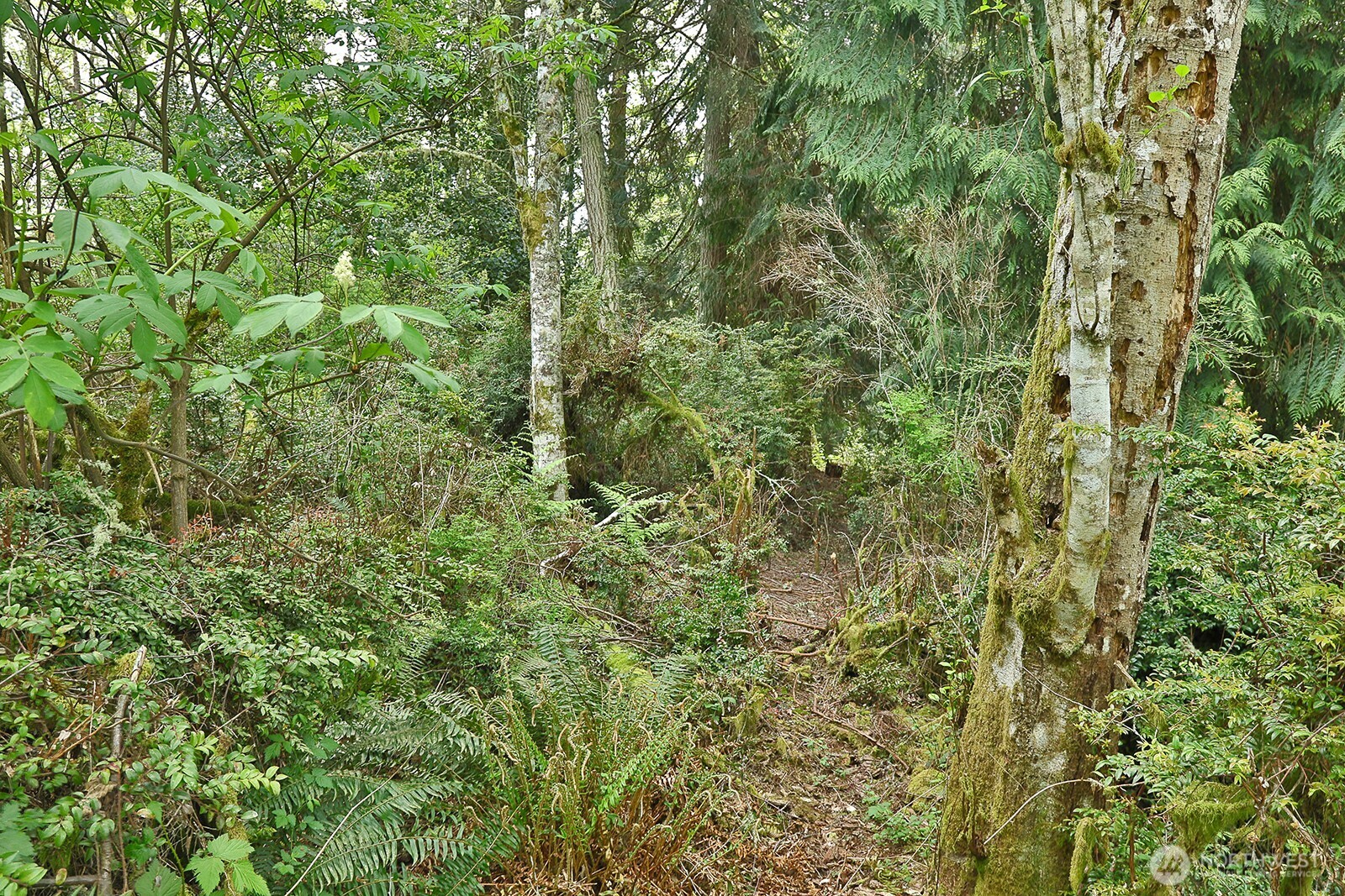 0 XXX Goss Lake Road