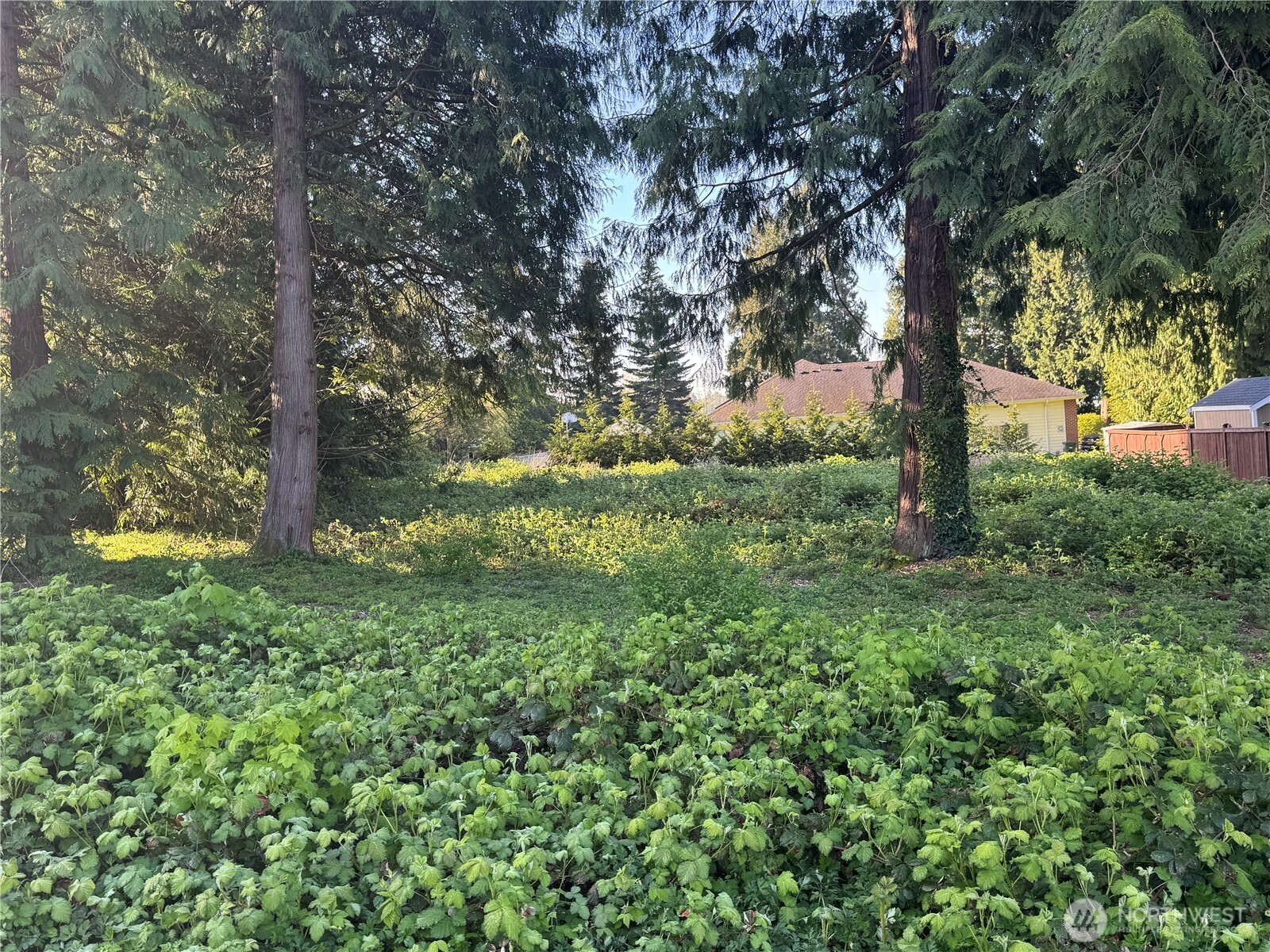 2205 Cedarwood Lane